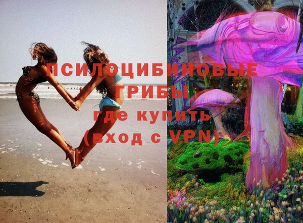 твердый Куйбышев